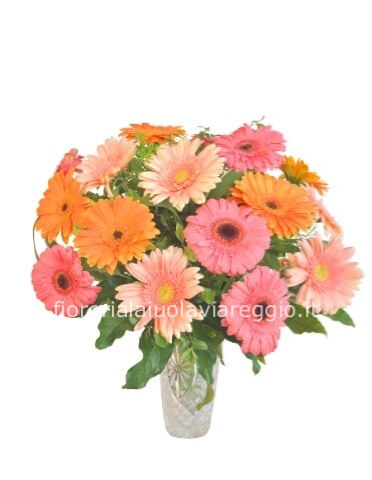 Bouquet di gerbere colori assortiti.